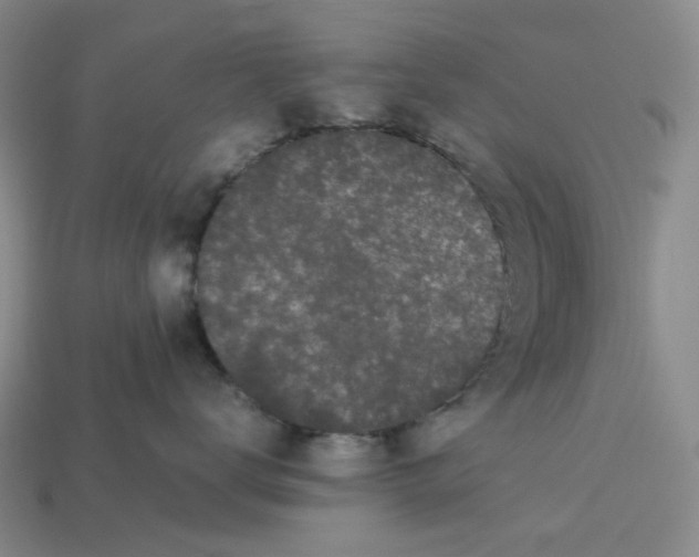 X0000113260672200910011408