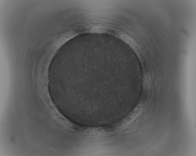 X0000113260673200910011408