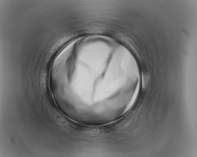 X0000113260675200910011408