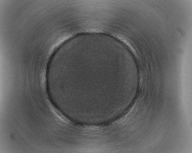 X0000113260677200910011408