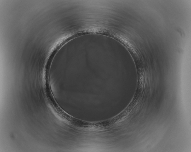 X0000113260678200910011408