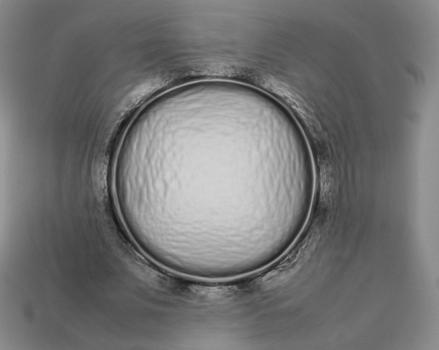 X0000113260679200910011408