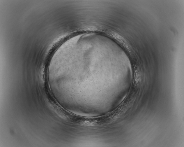 X0000113260680200910011408