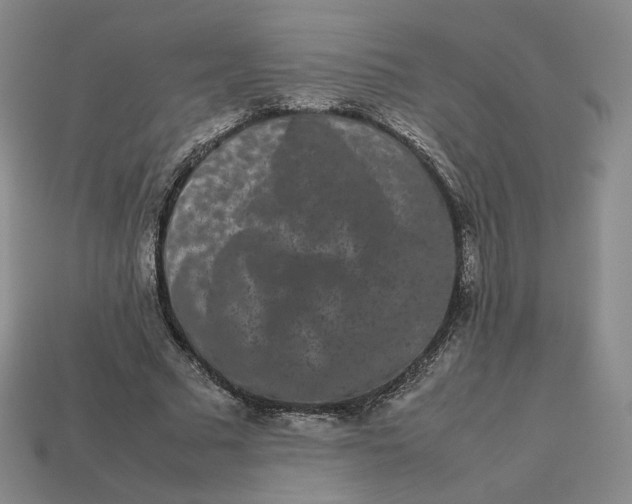 X0000113260681200910011408