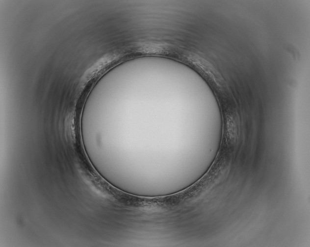 X0000113260682200910011408