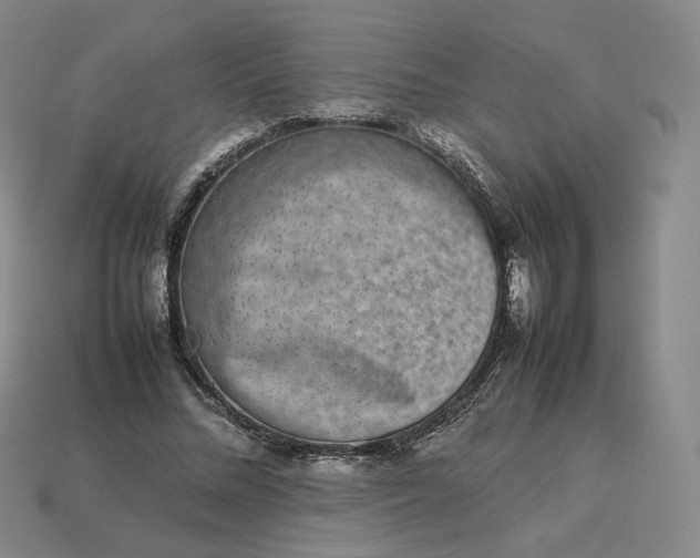 X0000113260684200910011408