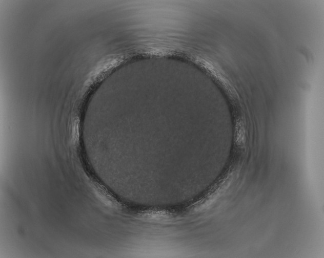 X0000113260685200910011408