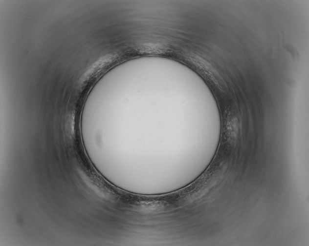 X0000113260686200910011408