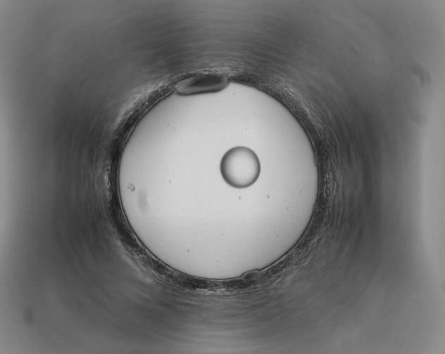 X0000113260688200910011408