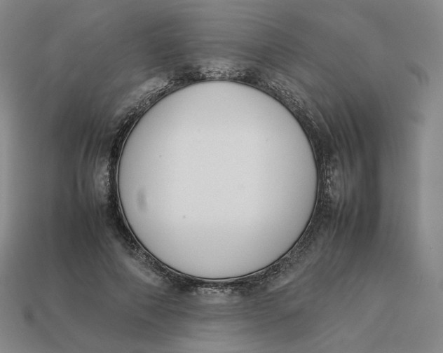 X0000113260690200910011408