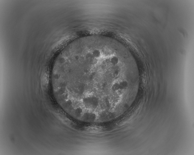 X0000113260691200910011408
