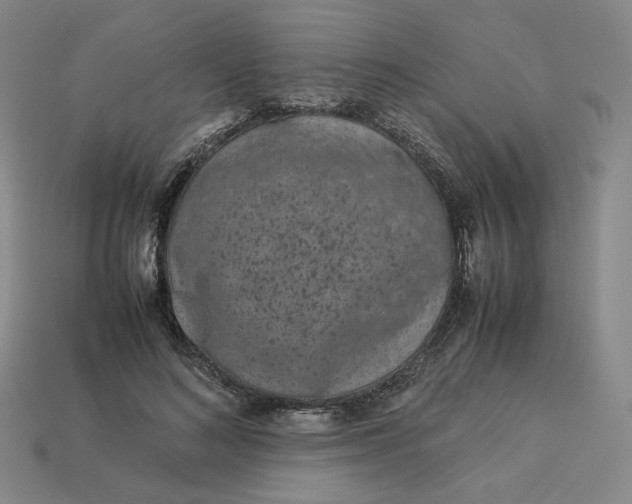 X0000113260692200910011408