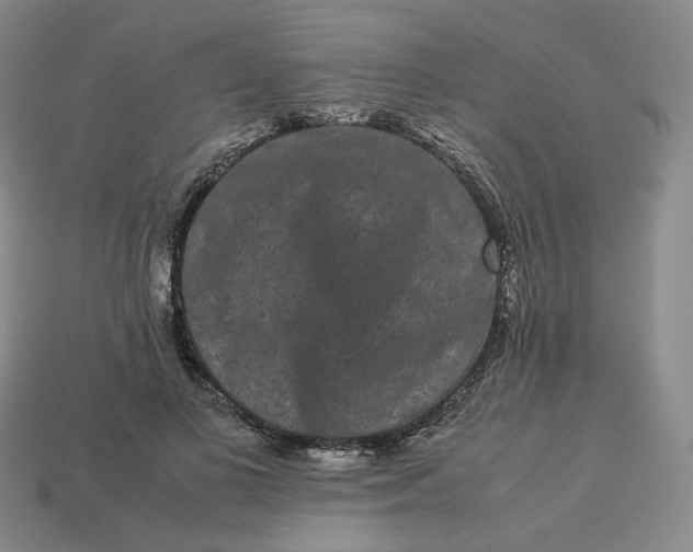 X0000113260693200910011408