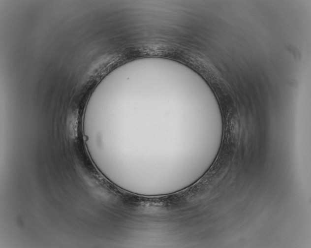 X0000113260694200910011408