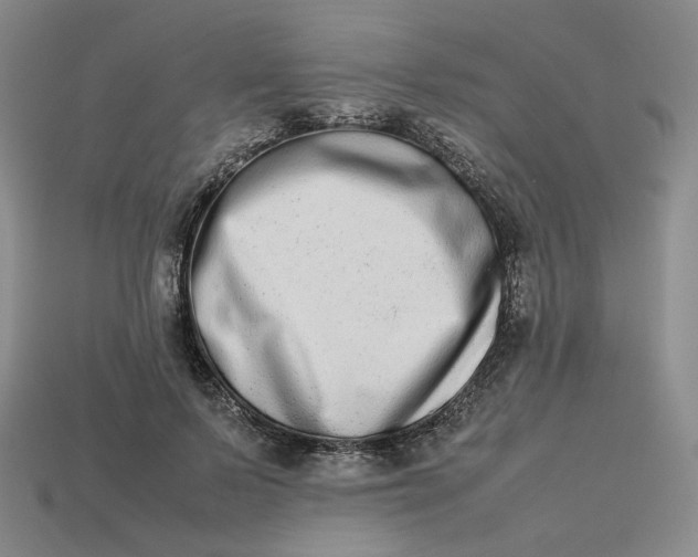 X0000113260695200910011408