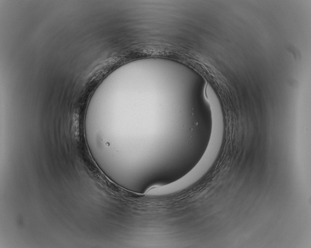 X0000113260696200910011408