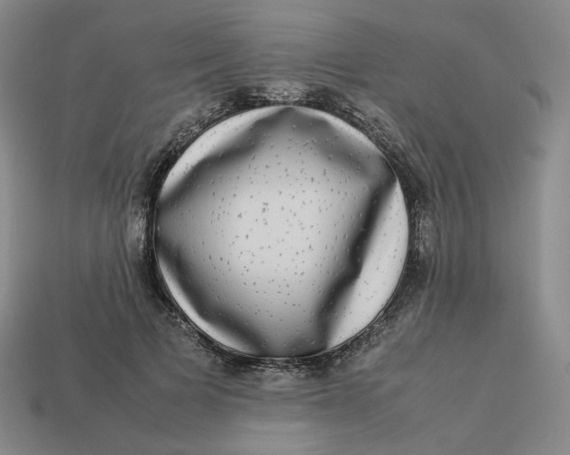 X0000113260697200910011408