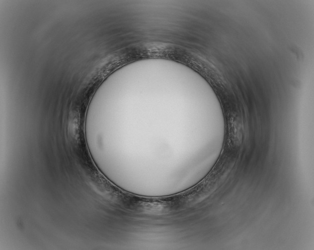 X0000113260698200910011407