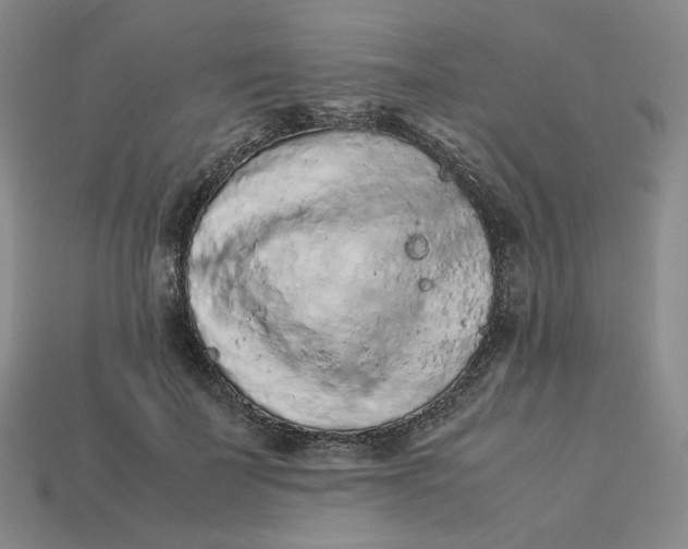 X0000113260699200910011407