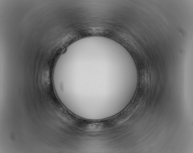 X0000113260700200910011407