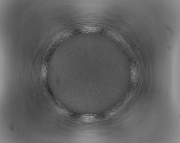 X0000113260701200910011407