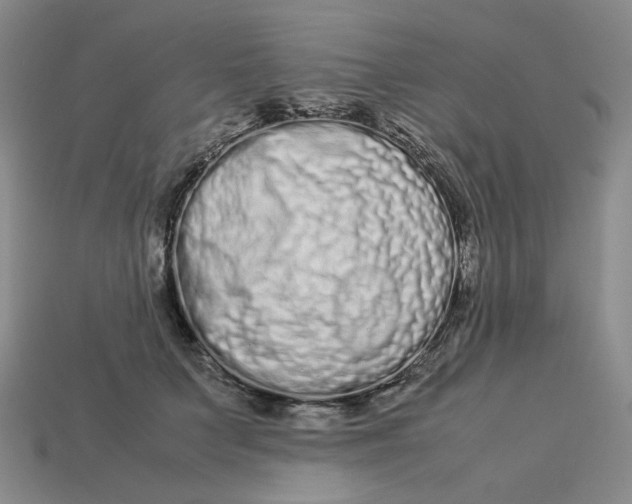 X0000113260703200910011407