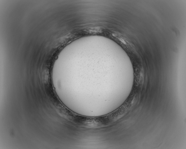 X0000113260704200910011407