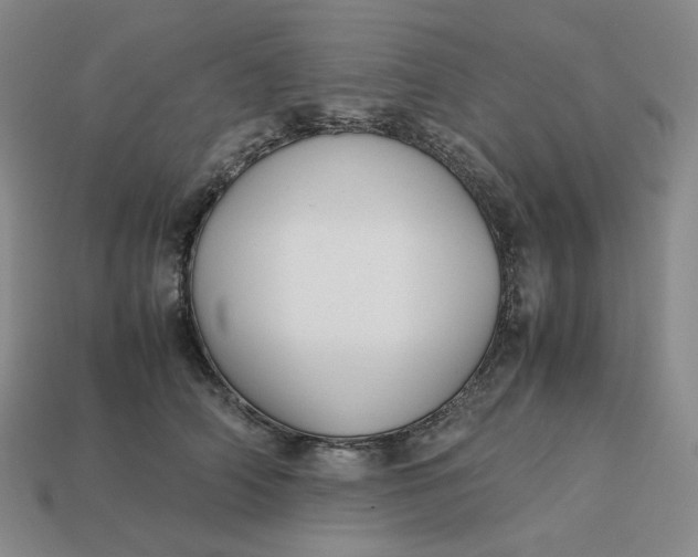 X0000113260706200910011407