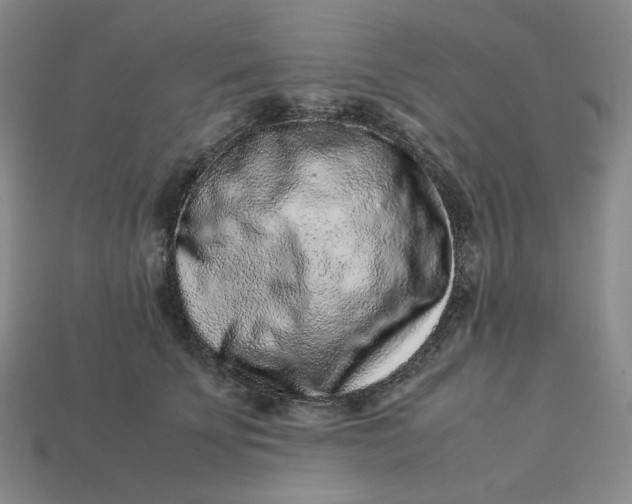 X0000113260707200910011407