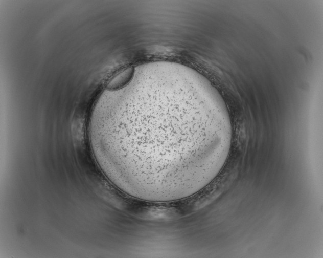 X0000113260708200910011407