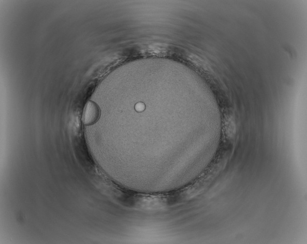 X0000113260709200910011407