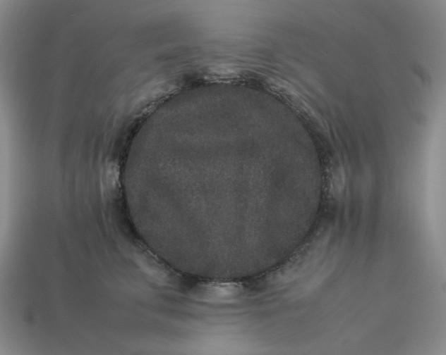 X0000113260711200910011407