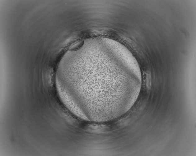 X0000113260712200910011407