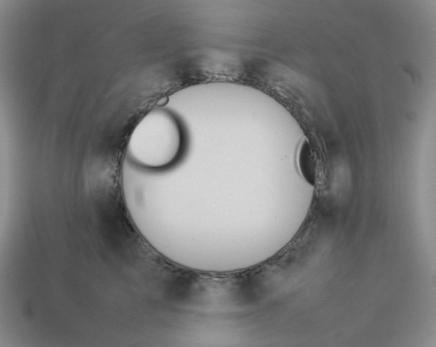 X0000113260713200910011407