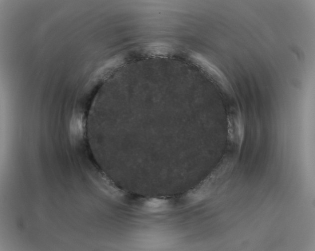 X0000113260718200910011407