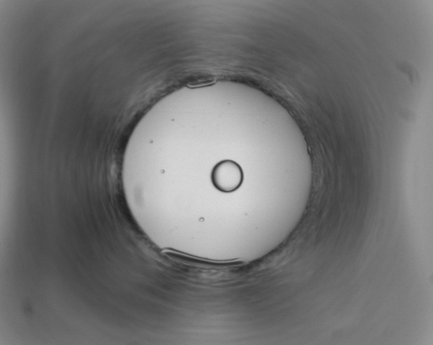 X0000113260720200910011407