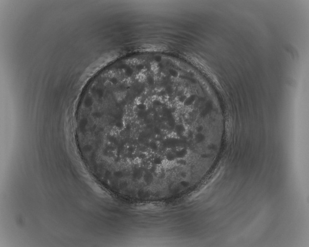 X0000113260721200910011407