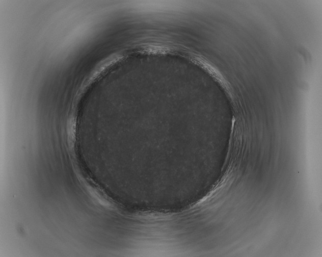 X0000113260722200910011407