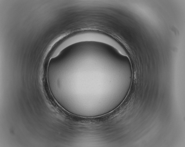 X0000113260724200910011407