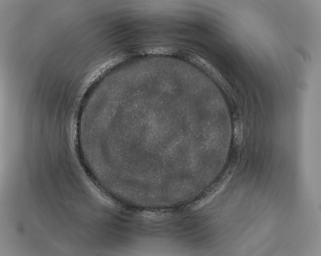 X0000113260725200910011407