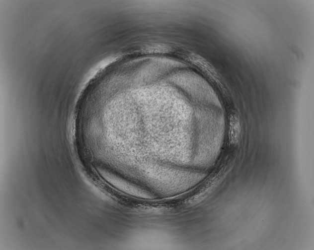 X0000113260726200910011407