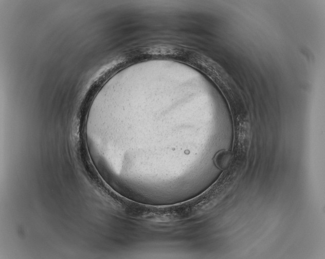 X0000113260727200910011407