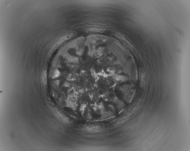 X0000113260729200910011407