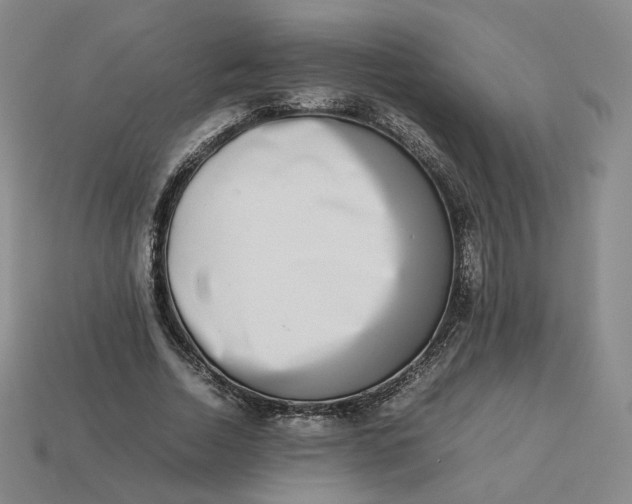 X0000113260730200910011407