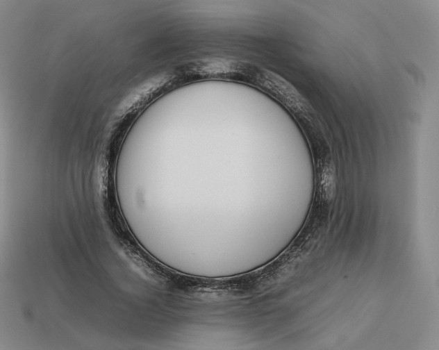 X0000113260732200910011407