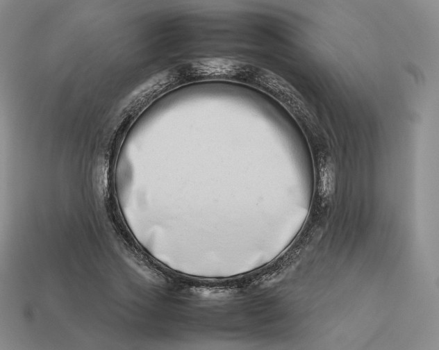 X0000113260733200910011407