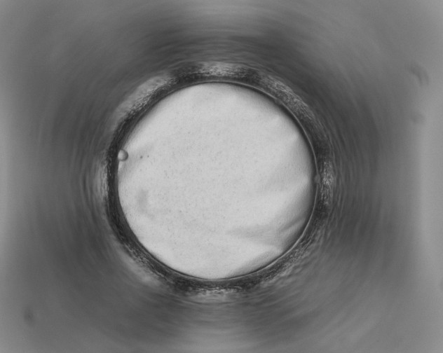 X0000113260734200910011407