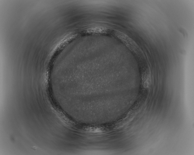 X0000113260735200910011407