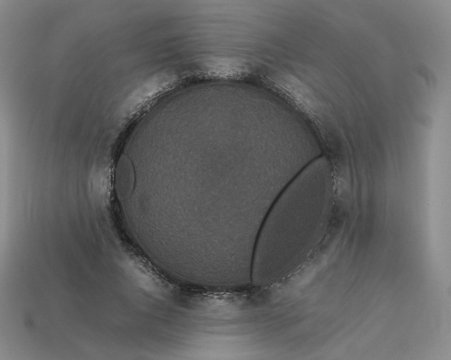 X0000113260736200910011407