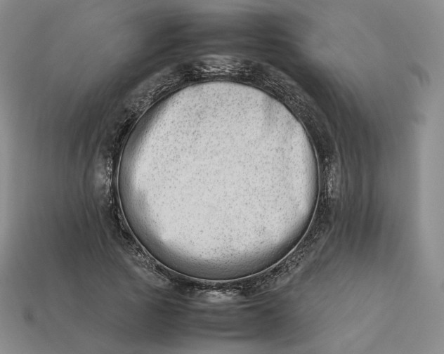 X0000113260737200910011407